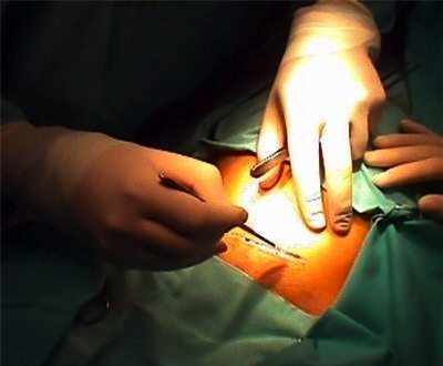 stacks_image_E4E6F223-DDC1-4278-B379-E5019CD6CE4C